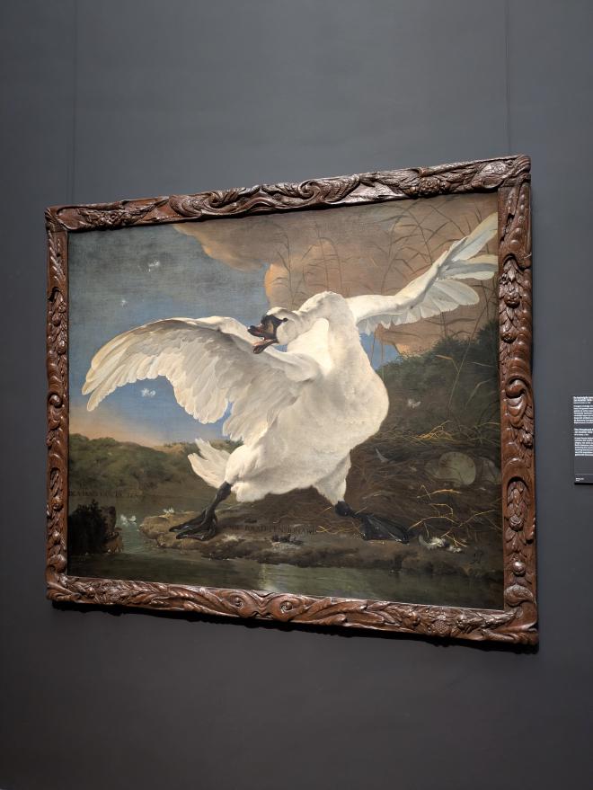 The Threatened Swan